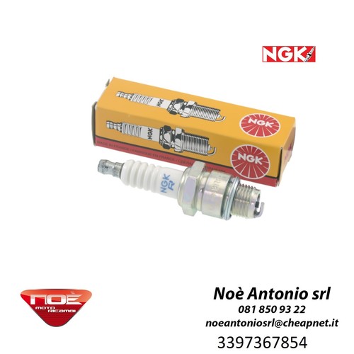 Candela moto ngk - moto,
